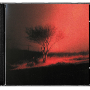 cd