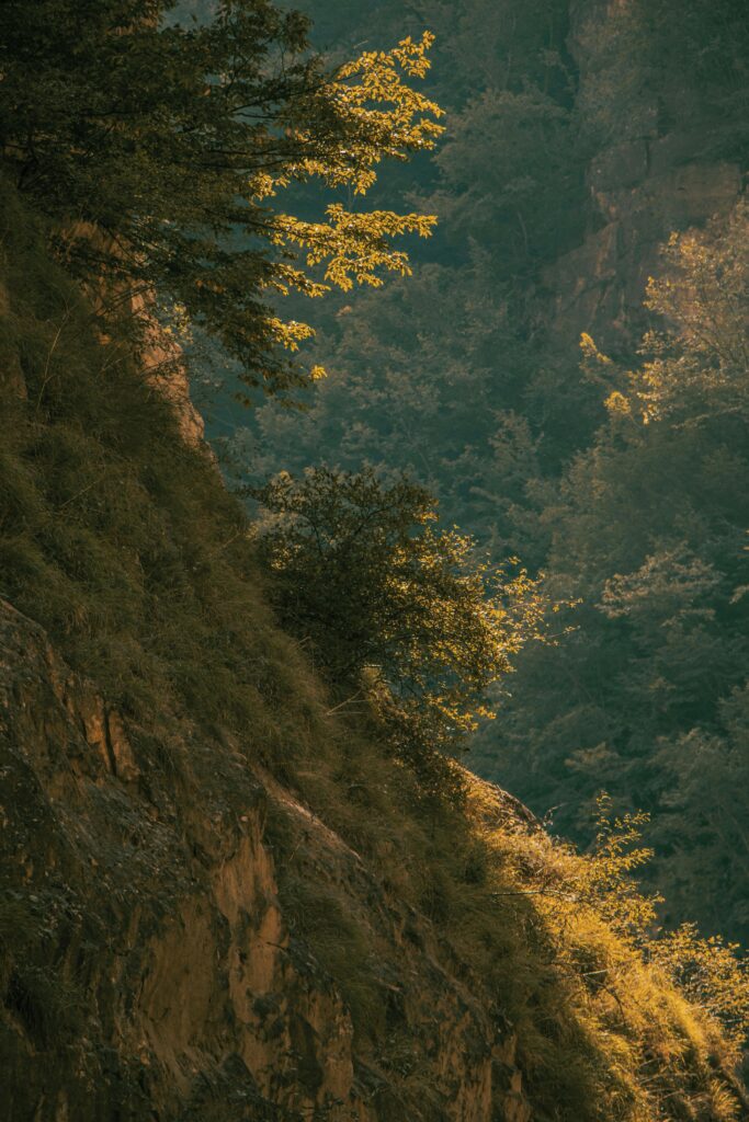 Serene view of cliffs and lush vegetation, showcasing natural beauty in Chalus, Iran.